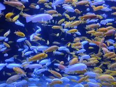 -成都浩海立方海洋公园