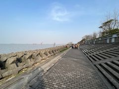 -上海滨江森林公园