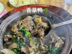 -霞姐屯昌枫木香草鸭店(海螺店)