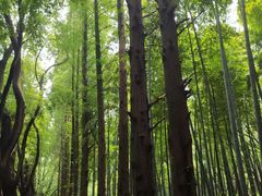 -同里国家湿地公园