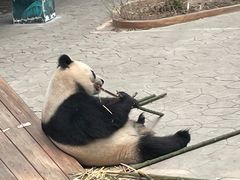 -沈阳森林动物园
