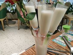 -春润大地海南椰子鸡(沙井京基百纳广场店)