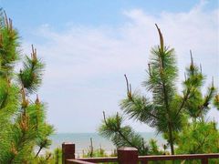 -渡海小渔村.老辈日照菜