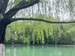 -天鹅湖体育公园