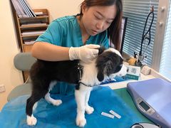 -美迦爱-牙专科·兔科·骨科诊疗中心(北苑店)