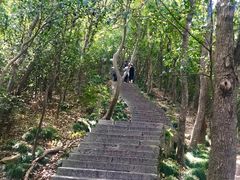 -紫金山山顶公园