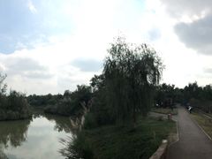 -白鹭湾湿地公园