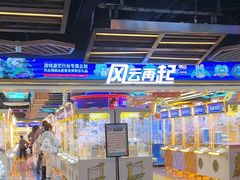 -风云再起游乐汇(北京西单西西友谊店)