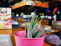 -THE CUT Rooftop顶楼牛排餐吧(环贸iapm店)