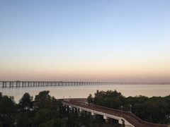 -宝安西湾红树林湿地公园