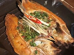 -雀舞云南菜(天津天河城购物中心店)