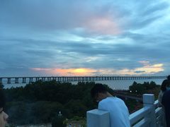 -宝安西湾红树林湿地公园