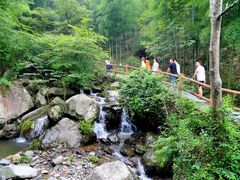 -藏龙百瀑风景区