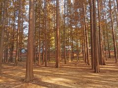 -八大关-近代建筑