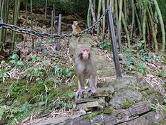 -三峡人家风景区