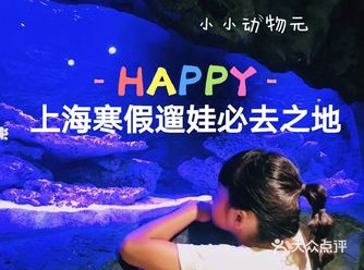 上海遛娃圣地小小动物园