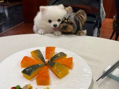 -蝶园·装修中(BFC外滩金融中心店)