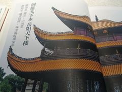 -洞庭家宴·头牌甲鱼(广渠门店)