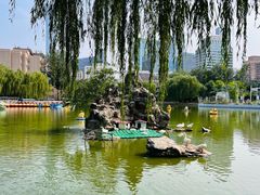 -团结湖公园