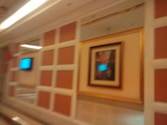 -沈阳于洪碧桂园凤凰酒店
