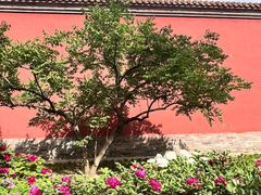 -北京市劳动人民文化宫(太庙)