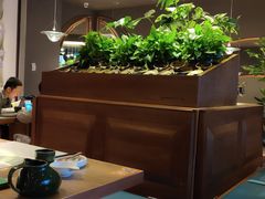 -云海肴·汽锅鸡·云南菜(领展购物广场·中关村店)