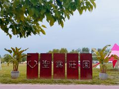 -圣露庄园·露营·烤肉·亲子