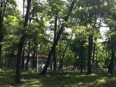 景点-顺鑫绿色度假村
