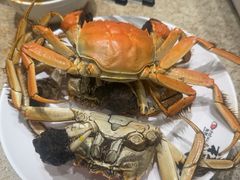 -初色海鲜自助(万丰路店)