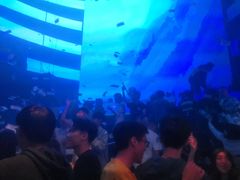 -欧米亚派对酒吧(绵阳店)