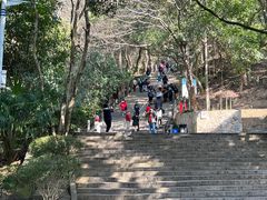 -上海佘山国家森林公园西佘山园