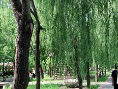 -河北村民俗体验园