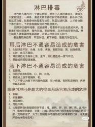 点击看大图 -玛莲朵·海菲秀冰珀科