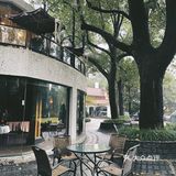 第一次来就爱上了