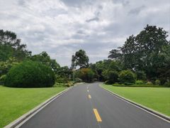 -浙江西子宾馆·瑶园咖啡厅