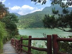 -羚羊峡古栈道森林公园