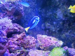 -Zoolung Zoolung动物主题公园(海信广场店)