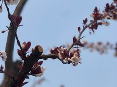 -北京金海湖景区