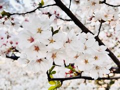 -幕燕滨江·燕子矶公园