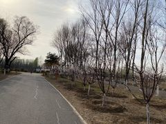 -东郊湿地公园