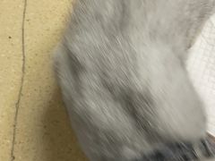 -安安宠医·安宠宠物医院