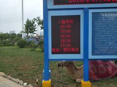 -华夏文旅海洋公园