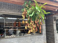 -顺德了能馆(虎门店)