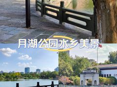-月湖公园