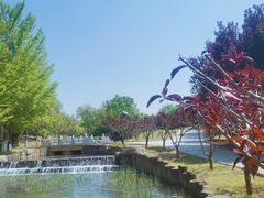 -青龙湖公园