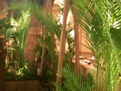 -大头椰·椰子鸡火锅(南宁万象城店)