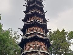 -上海佘山国家森林公园西佘山园