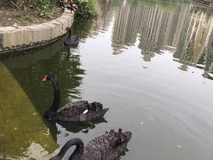 -南湖梦幻岛