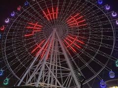 -大锅强·蒸海鲜青岛菜(吾悦广场店)