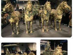 -秦始皇帝陵博物院-丽山园